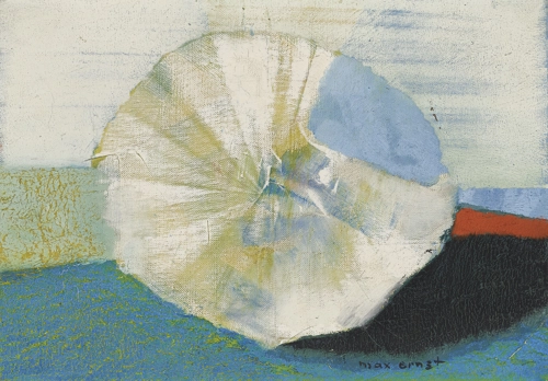 image Coquillage